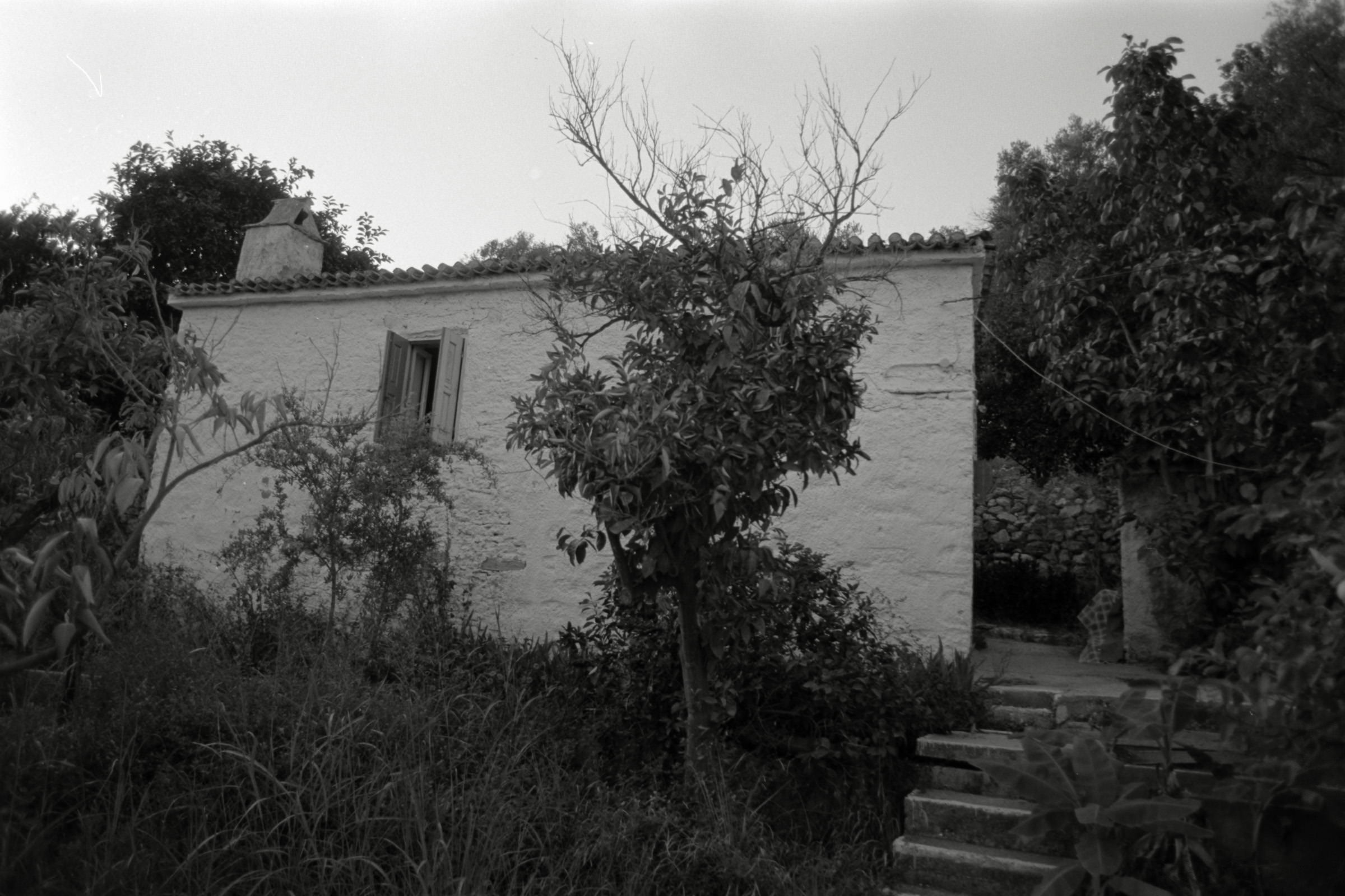 AHP F1991 09 001 sc250507 img02 NLP